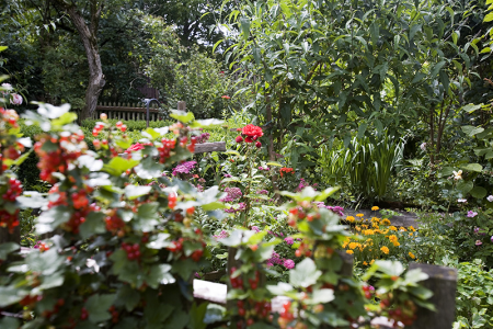 27_Punzelhof_014[2697]